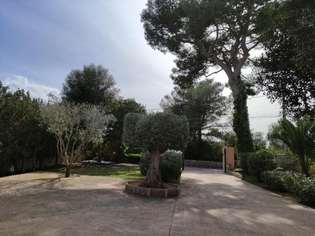 Villa Mestral Alcudia  Exterior foto